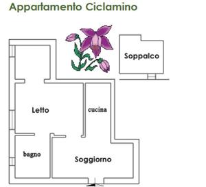 planimetriaciclamino